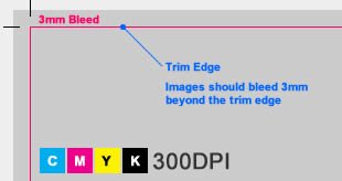 print point carlisle spec sheet