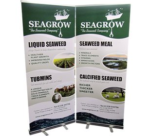 banner print design carlisle